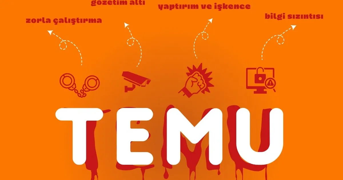 AB'den Çinli Temu platformuna resmî soruşturma! - QHA - Kırım