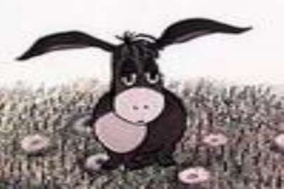 Kırım’da eşek müzesi açıldı