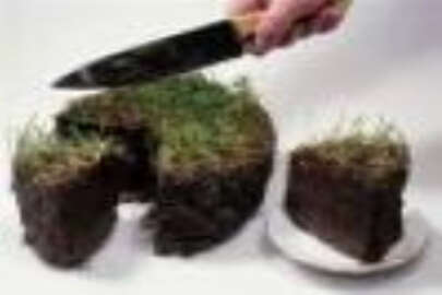 Kırım’da toprak fiyatları düşüşte