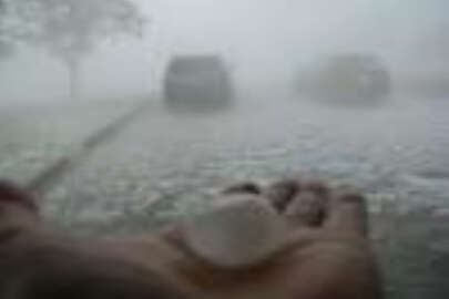 Dolu yağışı rekolteye zarar getirmedi