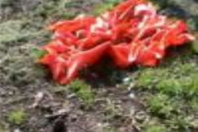 Donetsk’te SSCB ve Nazi Almanyası’nın bayrakları yakıldı