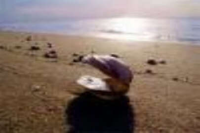 Azak denizi koleradan temizlendi, Dnepr kirleniyor