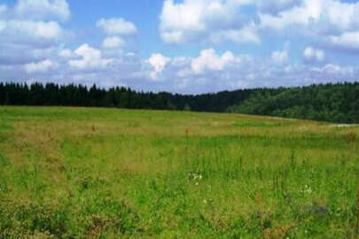 Kırım’daki yerel yönetime yeni görev