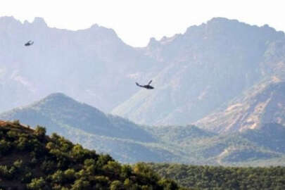 Muş'ta hava destekli operasyon başladı
