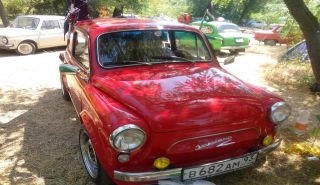 Zaporojets sahipleri Zaporijya’da buluştu