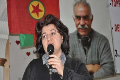 Emine Ayna Diyarbakır'da gözaltına alındı