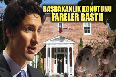 Konutunu fareler basan Kanada Başbakanı Trudeau, evsiz kaldı!