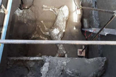 Pompei harabelerinde taş kesilmiş bir at mezar hırsızları tarafından bulundu!