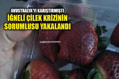 İğneli çilek krizi: Çilek sektörünü ve Avustralya ekonomisini sarsan şahıs yakalandı