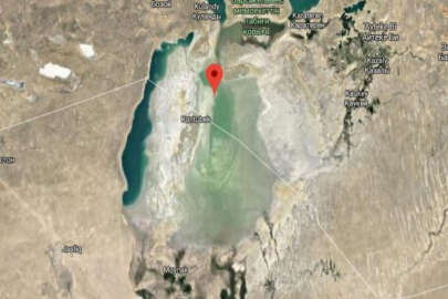 Özbekistan, Sovyetler'in kuruttuğu Aral Gölünün kuruyan kısımlarını ağaçlandıracak