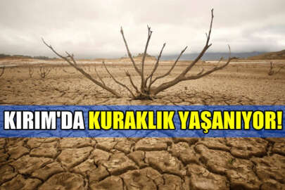 İşgal altındaki Kırım’da kuraklık yaşanıyor!