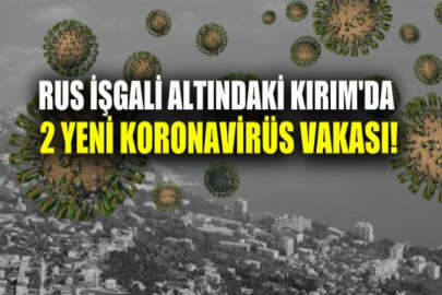 İşgal altındaki Kırım'da 2 yeni koronavirüs vakası tespit edildi
