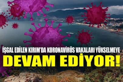 İşgal edilen Kırım'da bir koronavirüs vakası daha tespit edildi