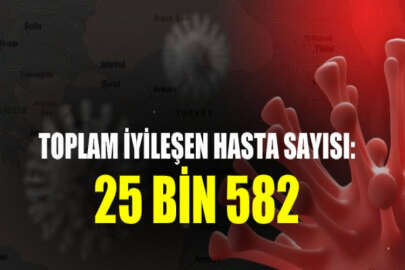Türkiye'nin koronavirüsle mücadelesinde son 24 saate ait rakamlar