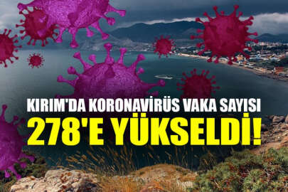 Kırım'da 12 yeni koronavirüs vakası tespit edildi