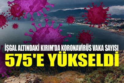 Kırım'da koronavirüs nedeniyle iki kişi daha hayatını kaybetti