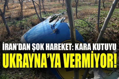 İran, Tahran'da düşürülen uçağın kara kutusunu Ukrayna'ya vermekten vazgeçti