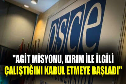 Tsımbalyuk: AGİT'in Kırım'la ilgili çalışmalarında belirli bir ilerleme kaydedildi