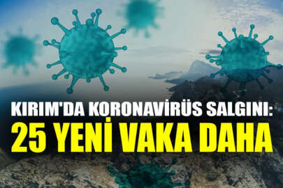 Kırım'da yeni 25 koronavirüs vakası