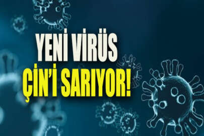 Çin’de virüs bitmiyor! Yeni bir virüs tehditi daha: Bunyavirüs...