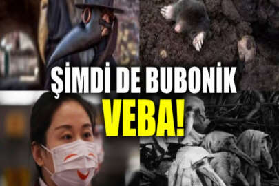 Çin'de yeni salgın: Hıyarcıklı vebadan 1 kişi daha yaşamını yitirdi!