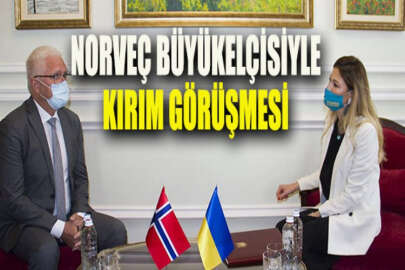 Emine Ceppar, Norveç Büyükelçisiyle Kırım konusu ile ilgilenecek uluslararası platformu görüştü