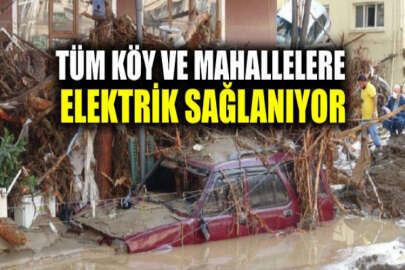 Felaketin yaşandığı Giresun'da son durum: Kapanan 113 köy yolu ulaşıma açıldı