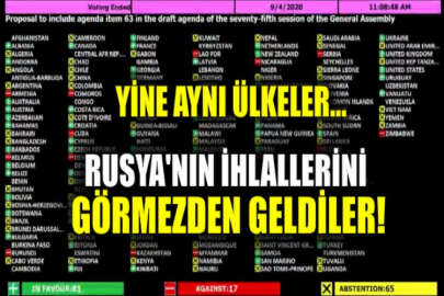 Kırım ve Donbas'taki insan hakları durumu BM Genel Kurulunun gündeminde