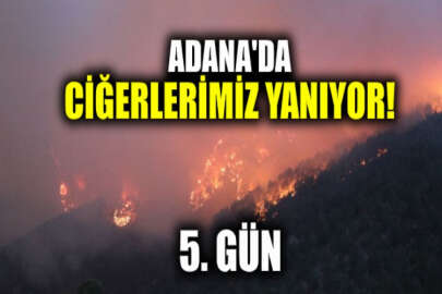 Adana'da orman yangını: 5 gündür sürüyor