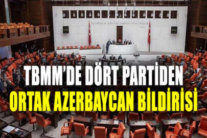 "Uluslararası camiayı Azerbaycan'ın yanında olmaya davet ediyoruz"