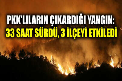 PKK'lıların ateşe verdiği Hatay'daki soğutma çalışmaları sürüyor