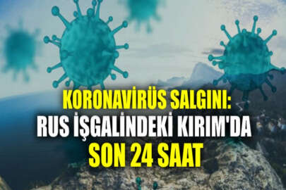 Kırım’da bir gün içinde 215 yeni koronavirüs vakası tespit edildi, 8 kişi öldü