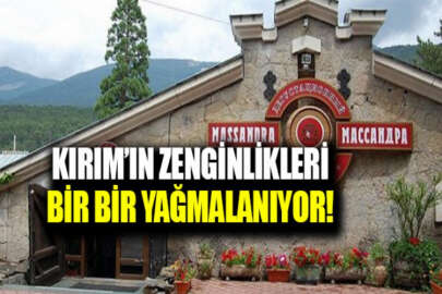 İşgalciler, Kırım’ın zenginliklerini yağmalamaya devam ediyor