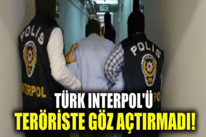 Türk Interpolü, 24 ayrı suçtan aranan PKK'lı teröristi Irak'ta yakaladı