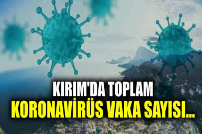 İşgal edilen Kırım'da son bir günde 276 yeni koronavirüs vakası