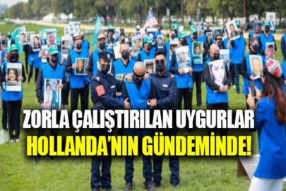 Uygur Türklerinin zorla çalıştırılması, Hollanda'nın gündemine geldi