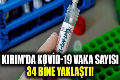 Kırım'da son bir günde, 315 yeni Kovid-19 vakası tespit edildi