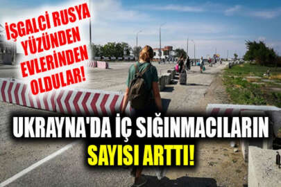 Ukrayna'da kayıtlı iç sığınmacıların sayısı arttı