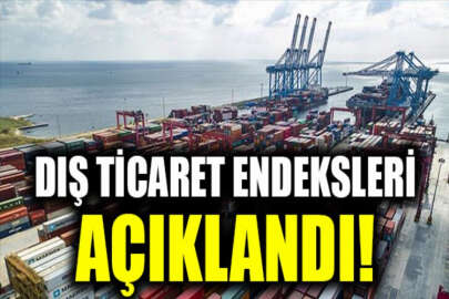 TÜİK, Kasım 2020 dönemi dış ticaret endekslerini açıkladı