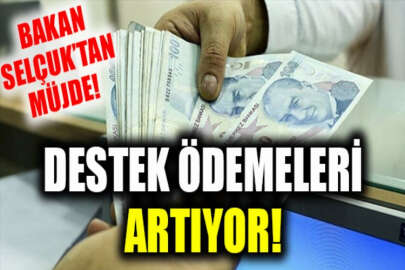 Nakdi ücret desteği ile istihdama dönüş ve artı istihdam teşviklerinin tutarı arttı