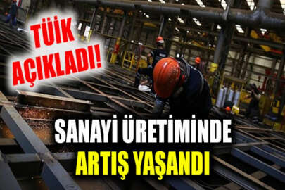 TÜİK, 2020 Kasım ayı sanayi endeksini açıkladı