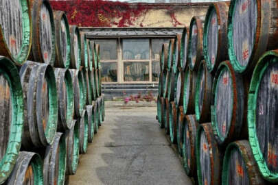 İşgal edilen Kırım'da bir şarap fabrikası daha satışa çıkarıldı