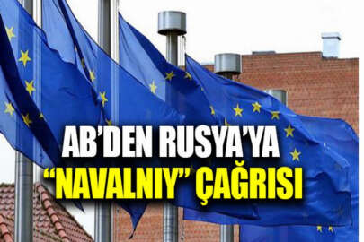 AB ülkelerinden Navalnıy'ın serbest bırakılması için çağrı