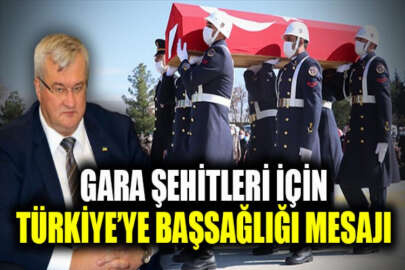 Büyükelçi Sıbiga'dan Türkiye'ye Gara şehitleri için başsağlığı mesajı: Acılarını paylaşıyorum