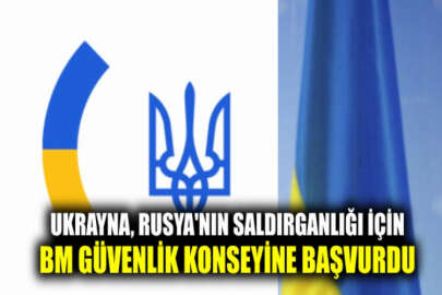 Ukrayna, Donbas'taki gerilim için BM Güvenlik Konseyi'ne başvurdu