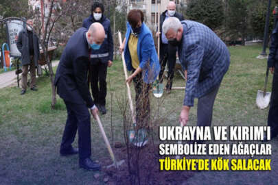 Ukrayna ve Kırım'ı sembolize eden ağaçlar Türkiye'de kök salacak
