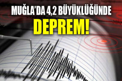 Ege Denizi'nde 4,2 büyüklüğünde deprem