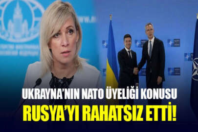 Ukrayna-NATO yakınlaşması Rusya'yı rahatsız etti