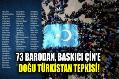 Türkiye'deki 73 Barodan Çin'e Doğu Türkistan tepkisi