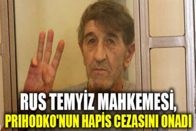 Rus temyiz mahkemesi, Ukraynalı aktivistin hapis cezasını onadı